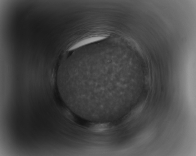 X0000087540081200705181056