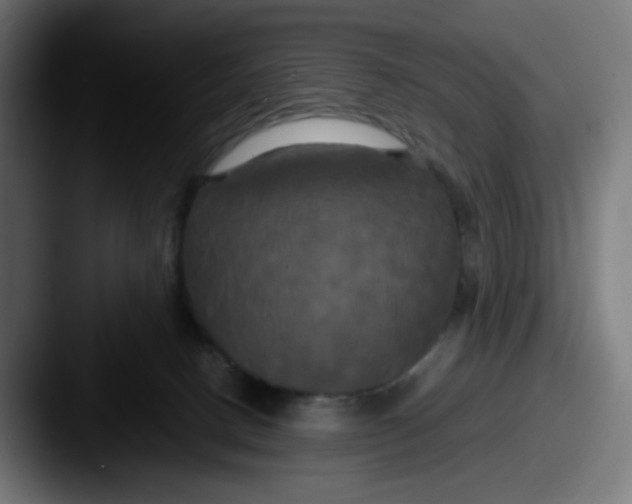 X0000087540082200705181056