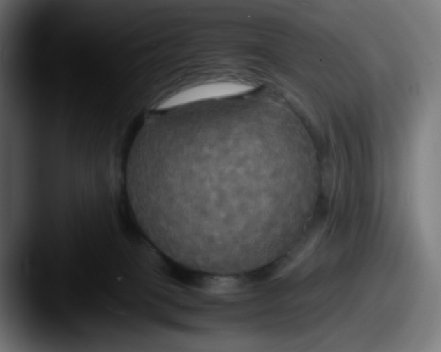 X0000087540085200705181056