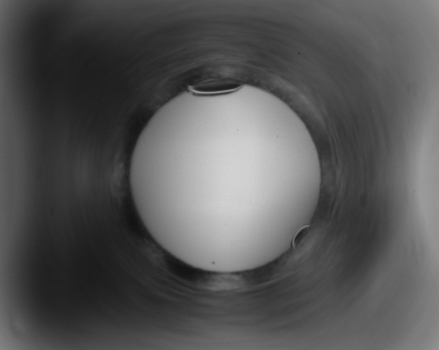 X0000087540087200705181056