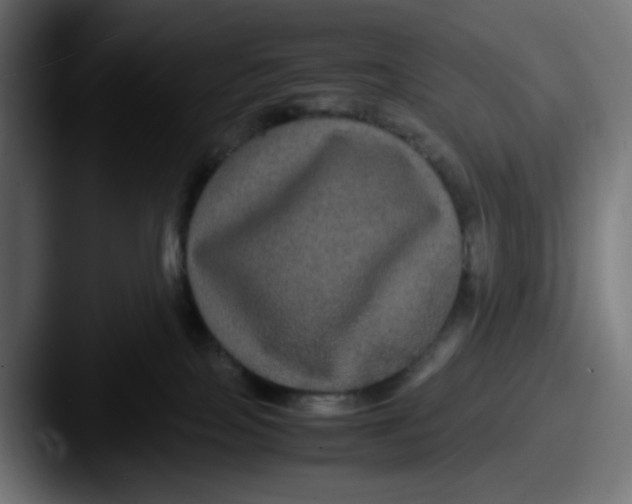 X0000087540089200705181056