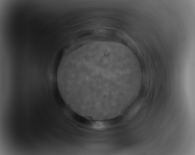 X0000087540091200705181056