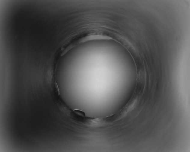 X0000087540092200705181056