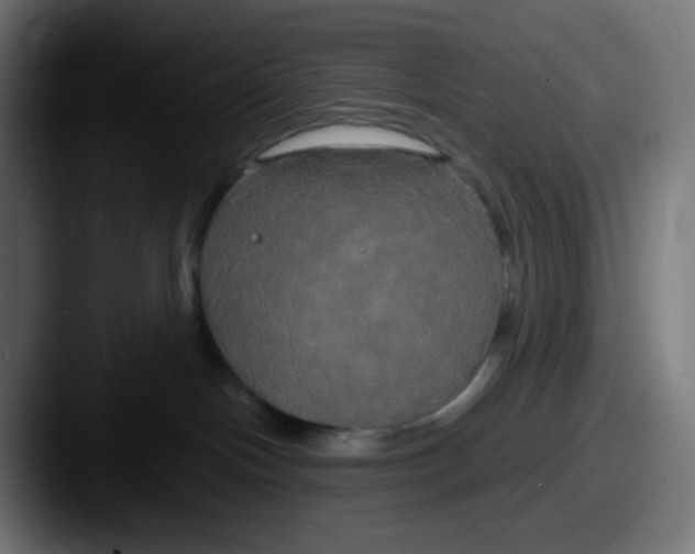 X0000087540094200705181056