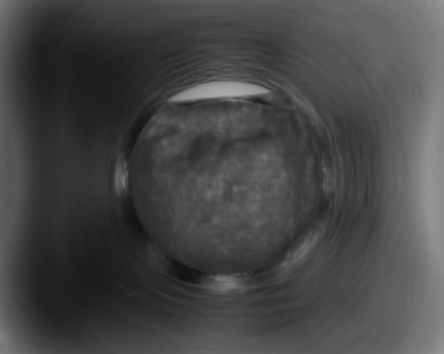 X0000087540095200705181056