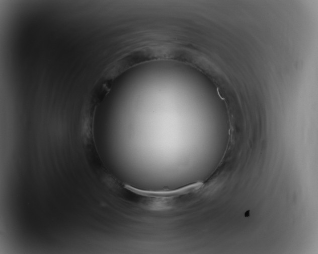 X0000087540096200705181056