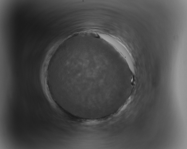 X0000087540097200705181056