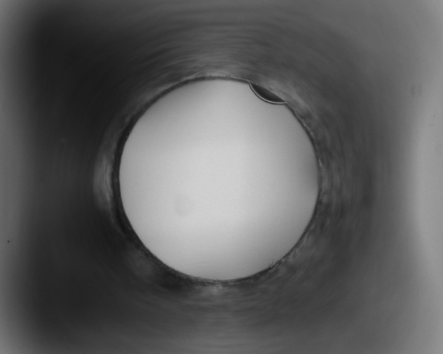 X0000087540098200705181056