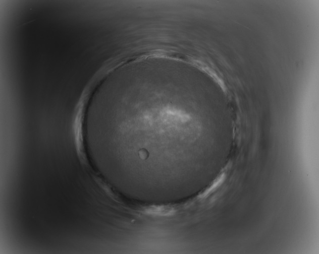 X0000087540101200705181056