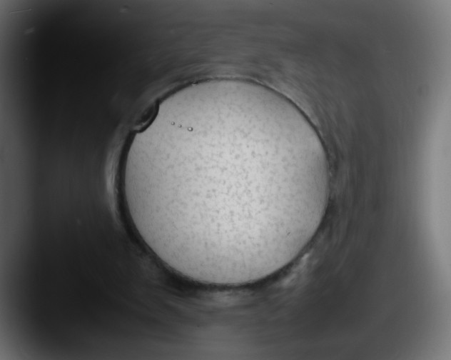 X0000087540103200705181056