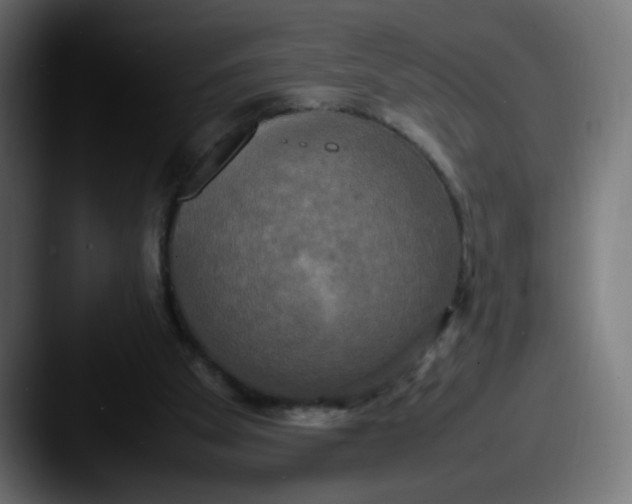 X0000087540105200705181055