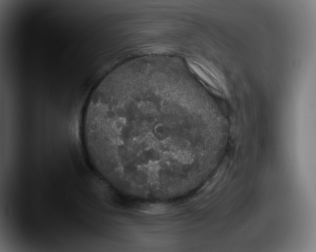 X0000087540107200705181055