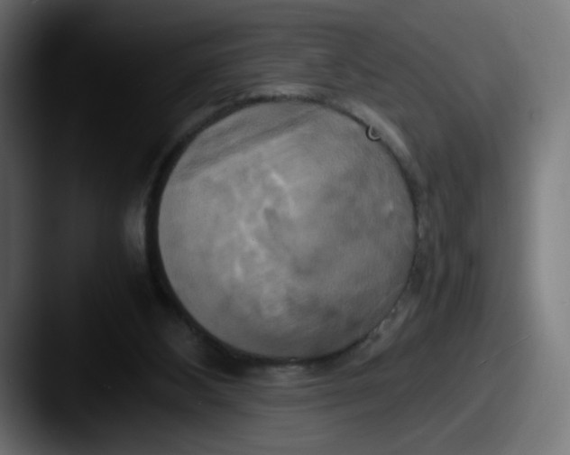 X0000087540108200705181055