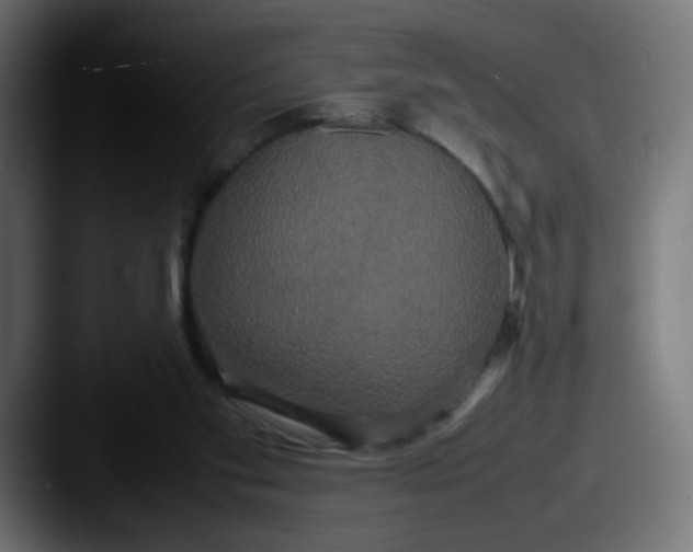 X0000087540109200705181055