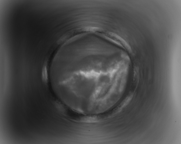 X0000087540110200705181055