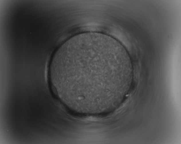 X0000087540111200705181055