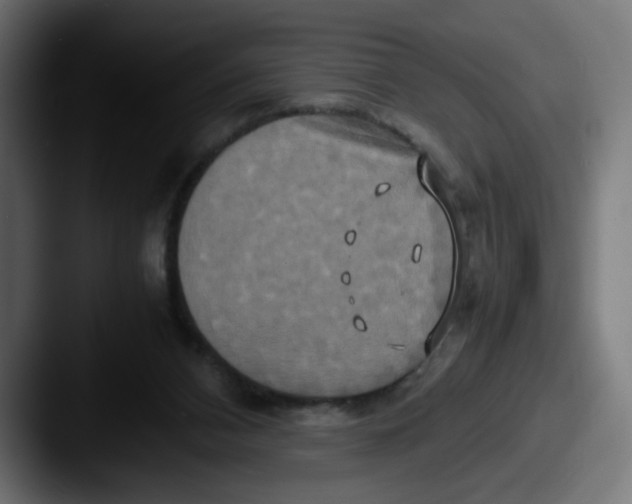 X0000087540112200705181055