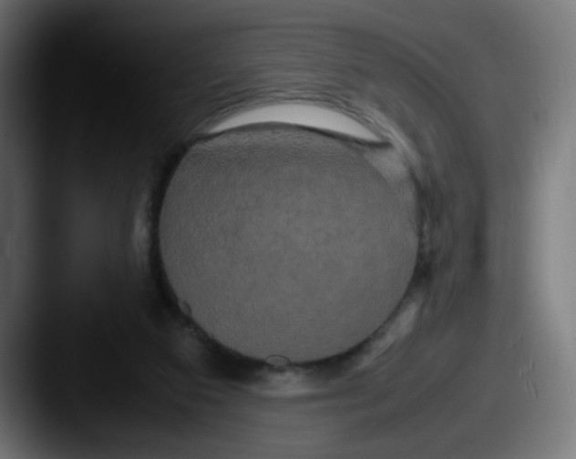 X0000087540113200705181055