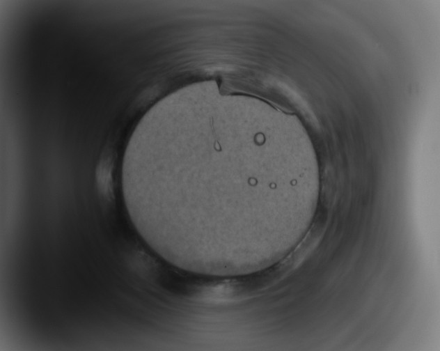 X0000087540116200705181055