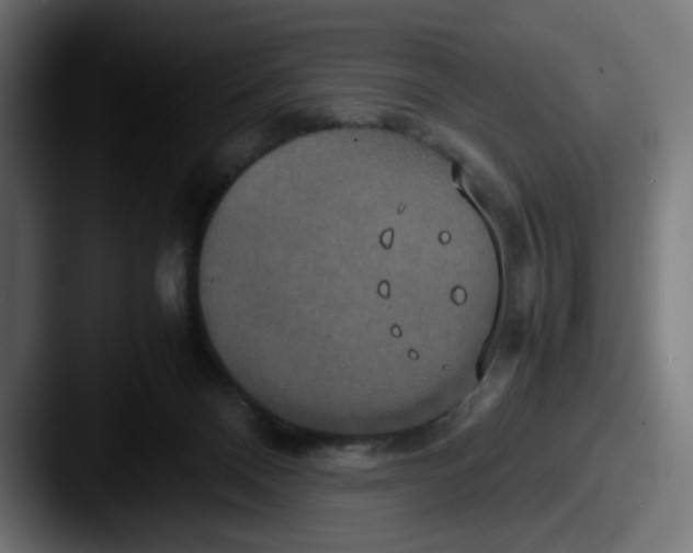 X0000087540120200705181055