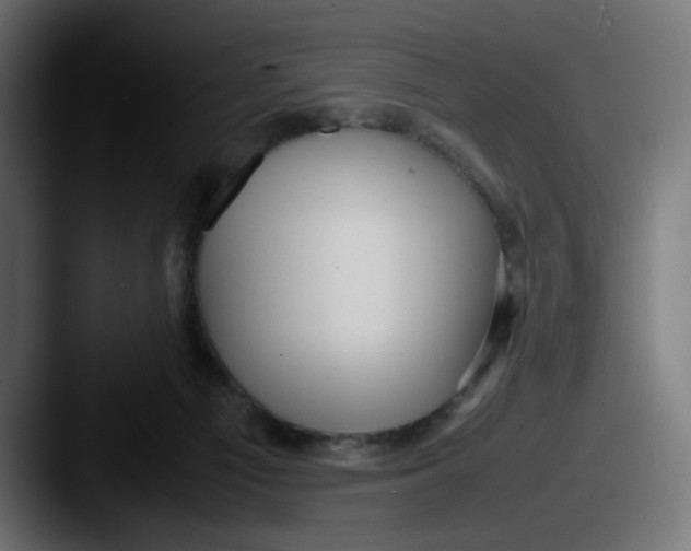 X0000087540121200705181055