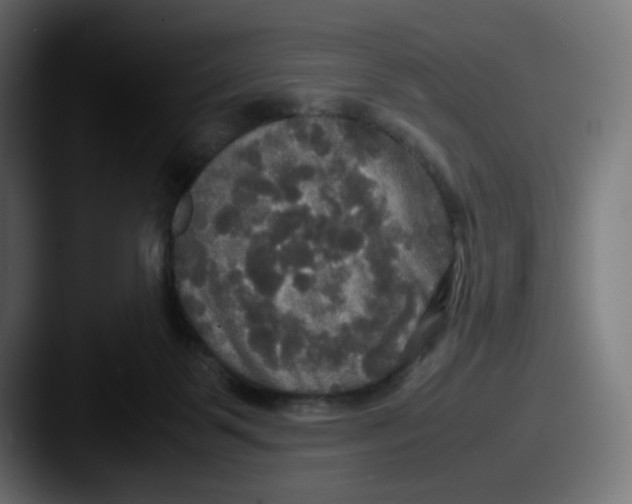 X0000087540123200705181055