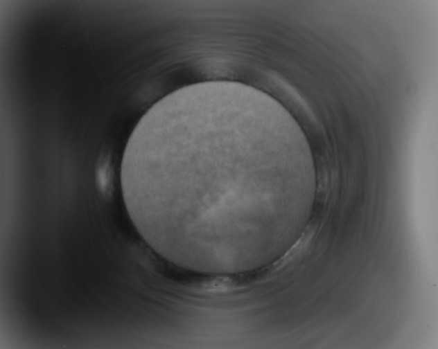 X0000087540124200705181055