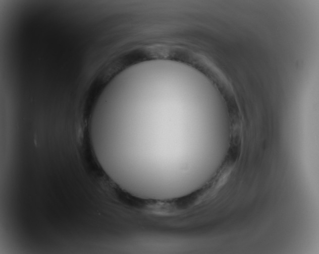 X0000087540125200705181055