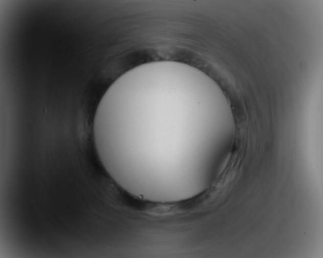 X0000087540129200705181055