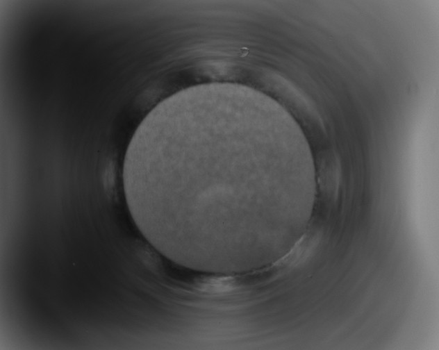 X0000087540132200705181055