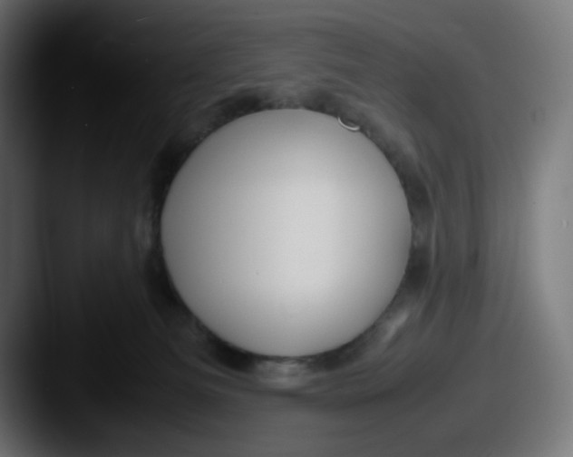 X0000087540133200705181055