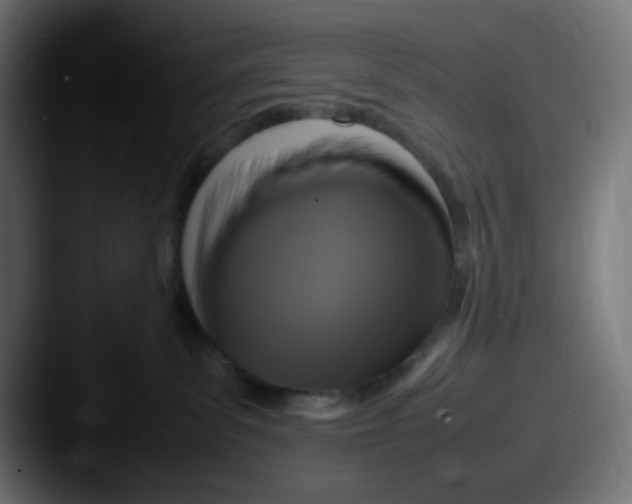 X0000087540139200705181055