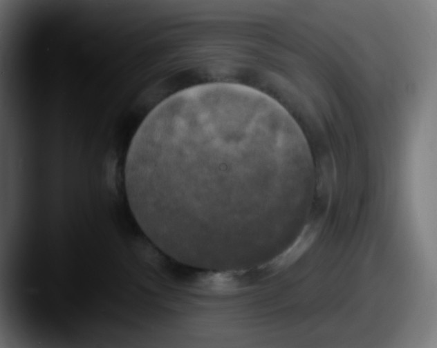 X0000087540140200705181055