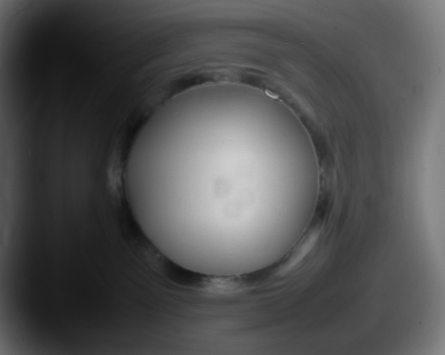 X0000087540141200705181055