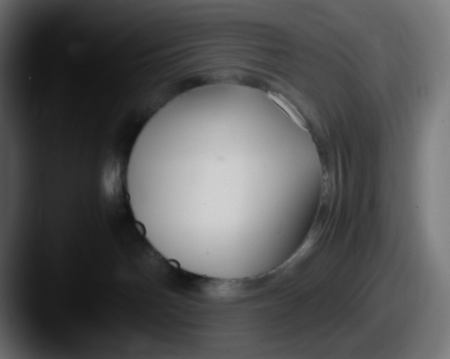 X0000087540142200705181055