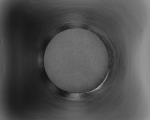 X0000087540144200705181055