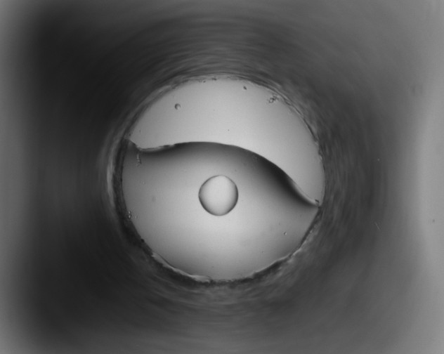 X0000087540146200705181054