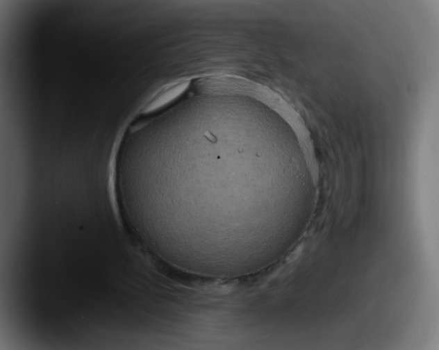 X0000087540148200705181055