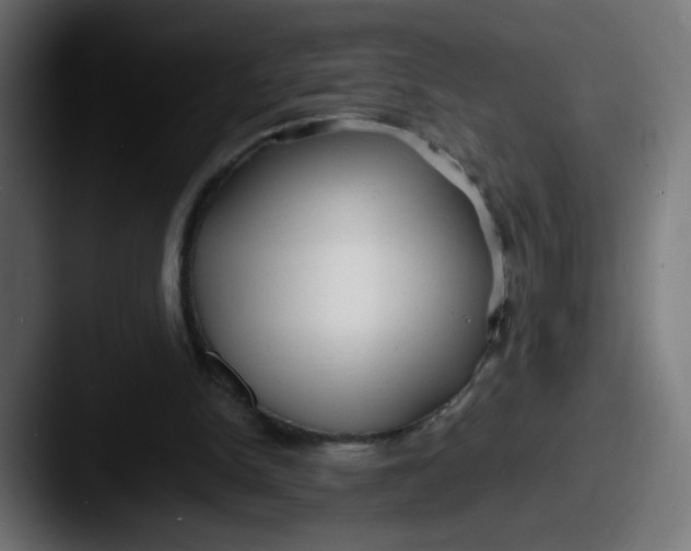 X0000087540150200705181055