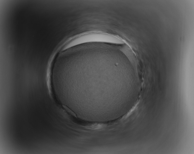 X0000087540152200705181055