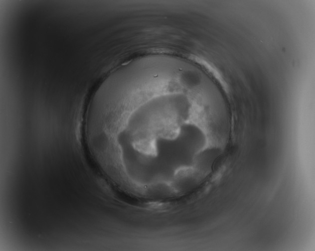 X0000087540153200705181055