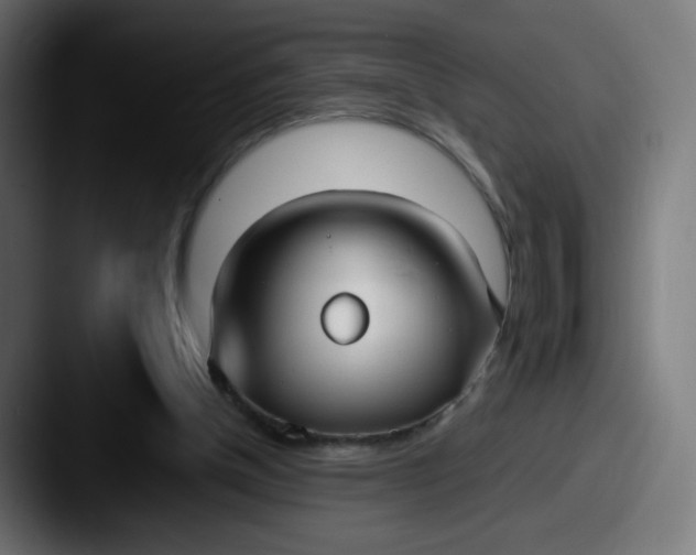 X0000087540154200705181055