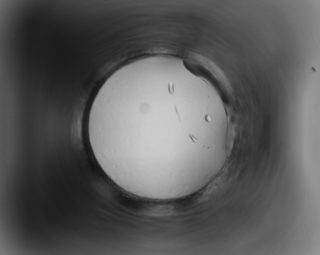 X0000087540155200705181055