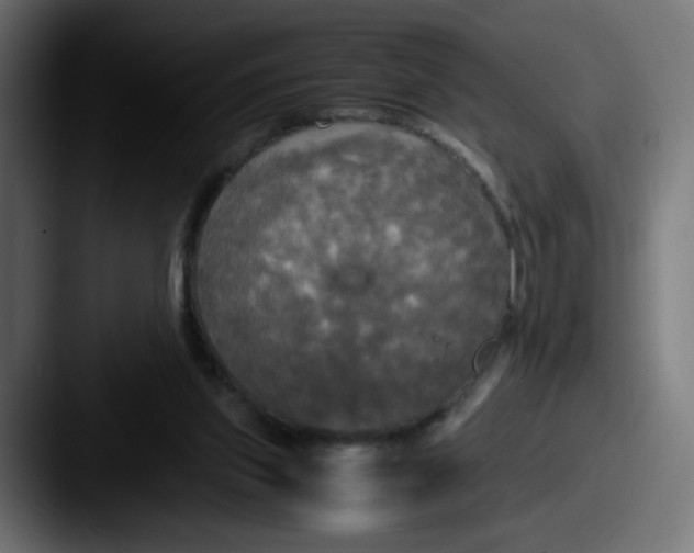 X0000087540157200705181055