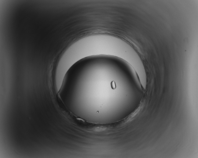 X0000087540158200705181055