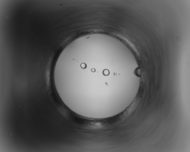 X0000087540159200705181055