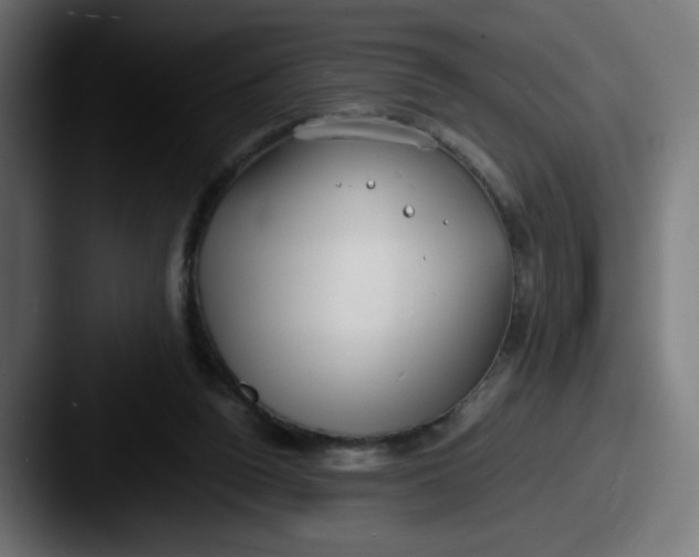 X0000087540160200705181055