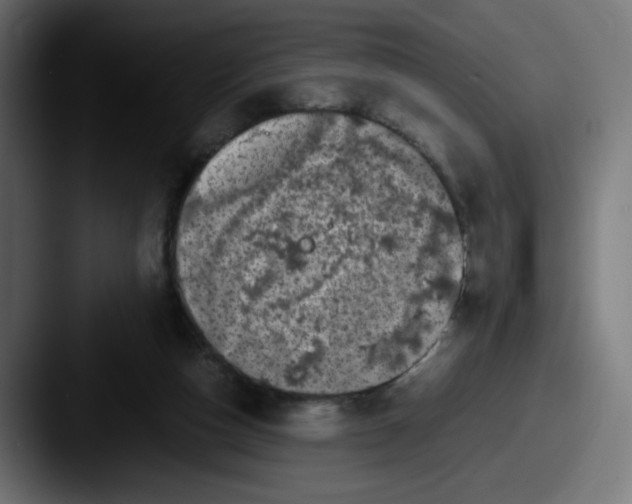 X0000087540162200705181055