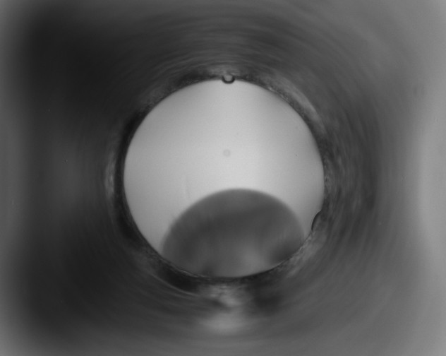 X0000087540163200705181055