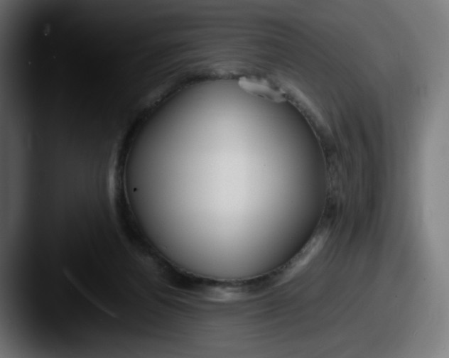 X0000087540164200705181055